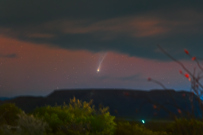 Comet 12P/Pons-Brooks over Pedricena